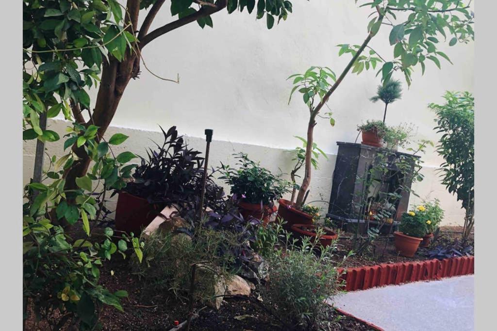 Modern Hospitality, With Private Garden, Athens Apartment Bagian luar foto